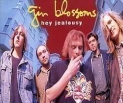 Höre dir das Song Gin Blossoms Hey jealousy online aus der Wiedergabeliste Musik zum Joggen kostenlos.