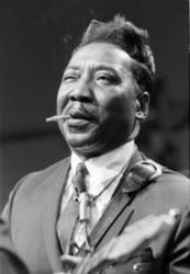 Höre dir das Song Muddy Waters Mannish boy online aus der Wiedergabeliste Jazz und Blues Musik Hits kostenlos.