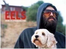 Höre dir das Song Eels Christmas Is Going to the Dogs online aus der Wiedergabeliste Weihnachtslieder kostenlos.