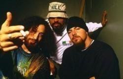 Höre dir das Song Cypress Hill Insane in the brain online aus der Wiedergabeliste Rap-Hits kostenlos.