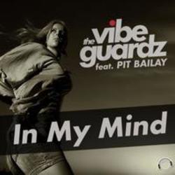 The Vibeguardz In My Mind (feat. Pit Bailey) [Radio Edit] kostenlos online hören.