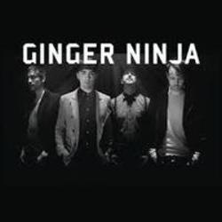 Ginger Ninja Sunshine