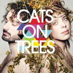 Neben Liedern von Eli "Paperboy" Reed kannst du dir kostenlos online Songs von Cats On Tree hören.