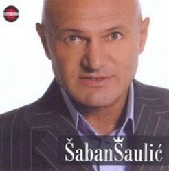Neben Liedern von Pop Etc kannst du dir kostenlos online Songs von Saban Saulic hören.